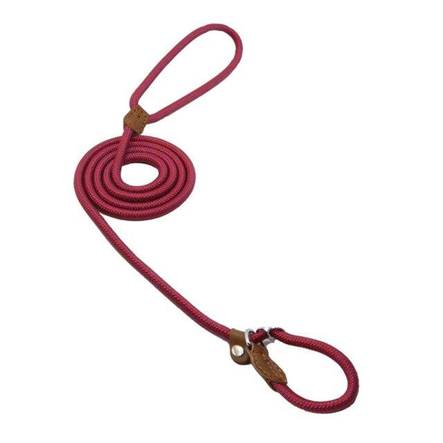 Nylon Puppy Collar and Leash