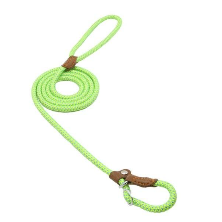 Nylon Puppy Collar and Leash