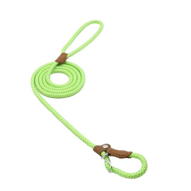 Nylon Puppy Collar and Leash