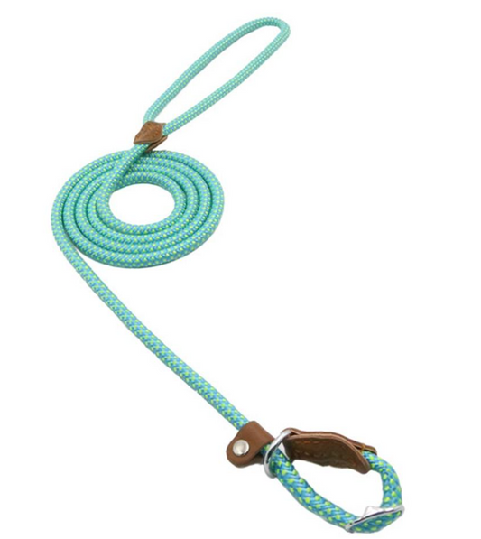 Nylon Puppy Collar and Leash