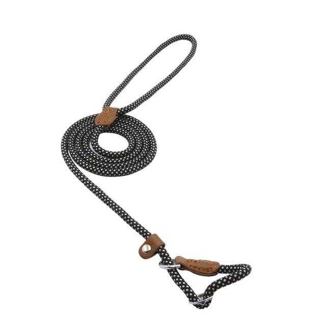 Nylon Puppy Collar and Leash