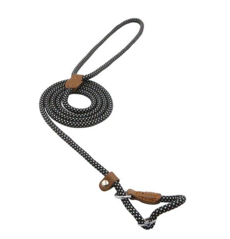 Nylon Puppy Collar and Leash