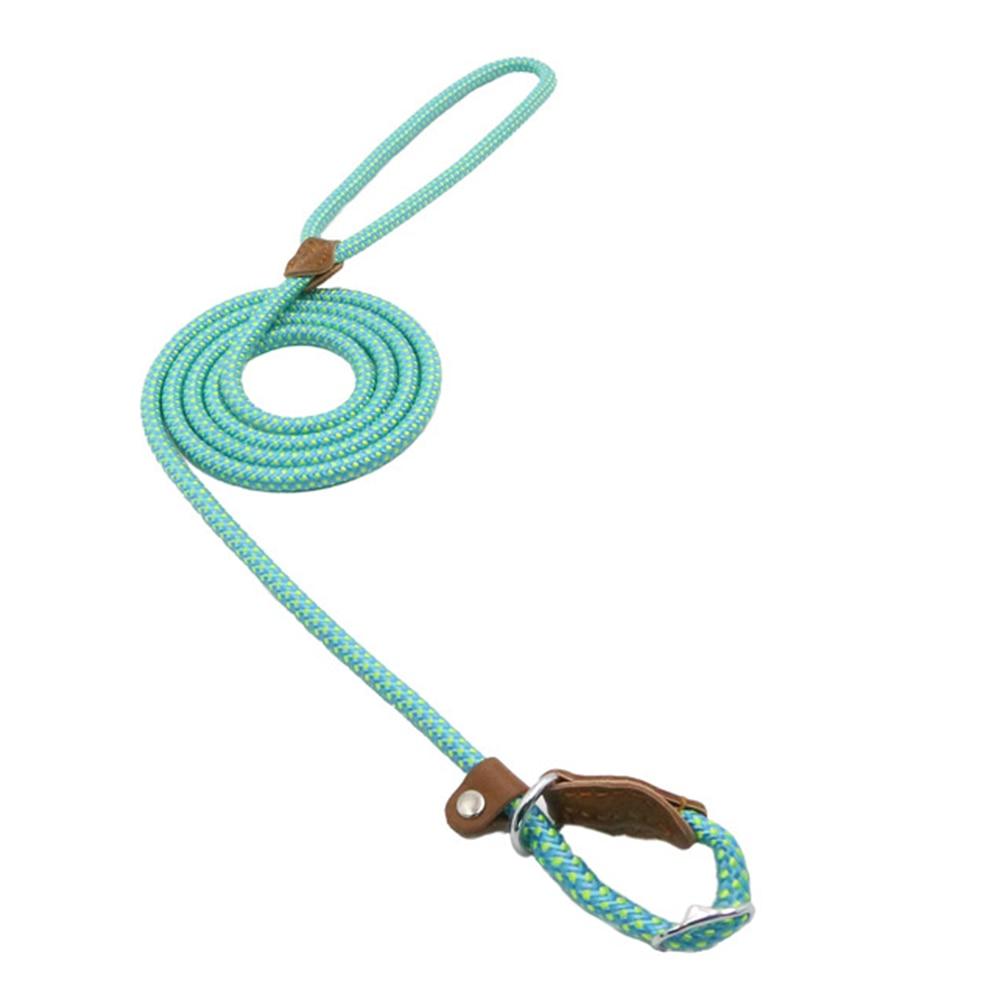Nylon Puppy Collar and Leash