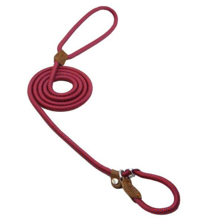 Nylon Puppy Collar and Leash