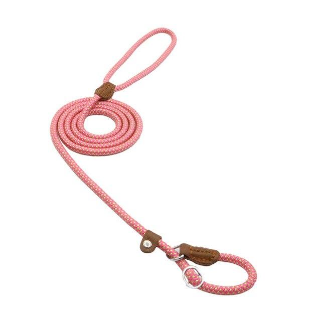 Nylon Puppy Collar and Leash