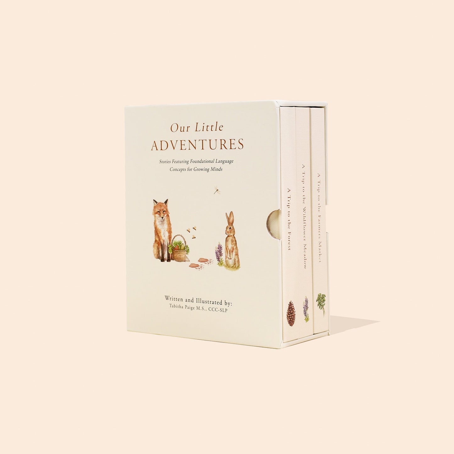 Our Little Adventures Nature Board Book Box Set
