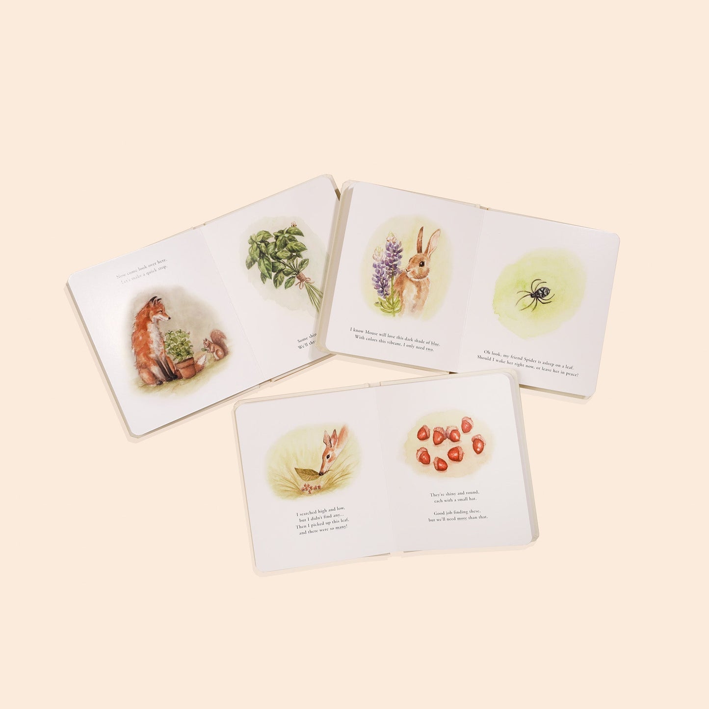 Our Little Adventures Nature Board Book Box Set