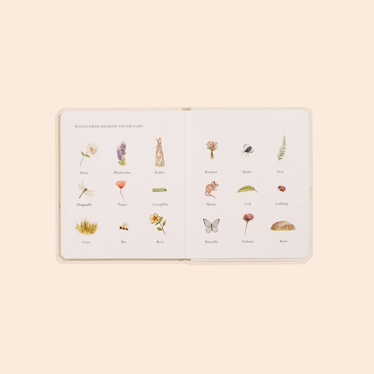 Our Little Adventures Nature Board Book Box Set
