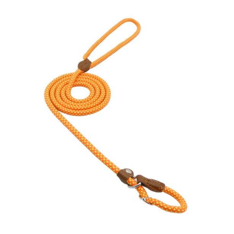 Nylon Puppy Collar and Leash