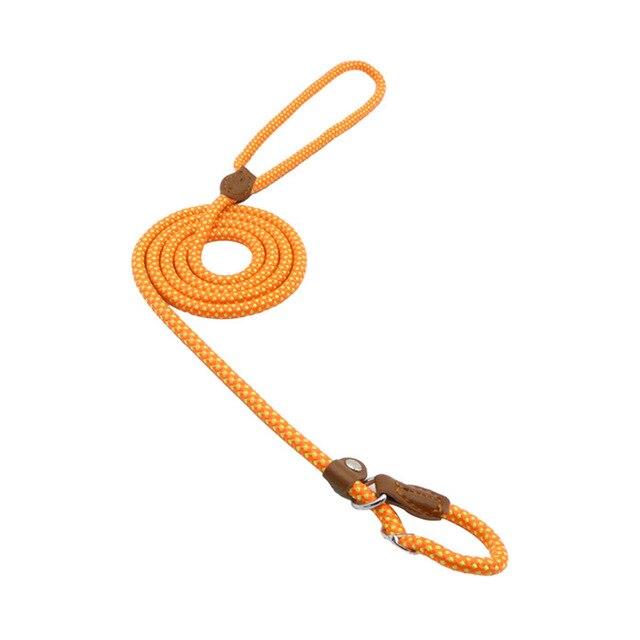 Nylon Puppy Collar and Leash