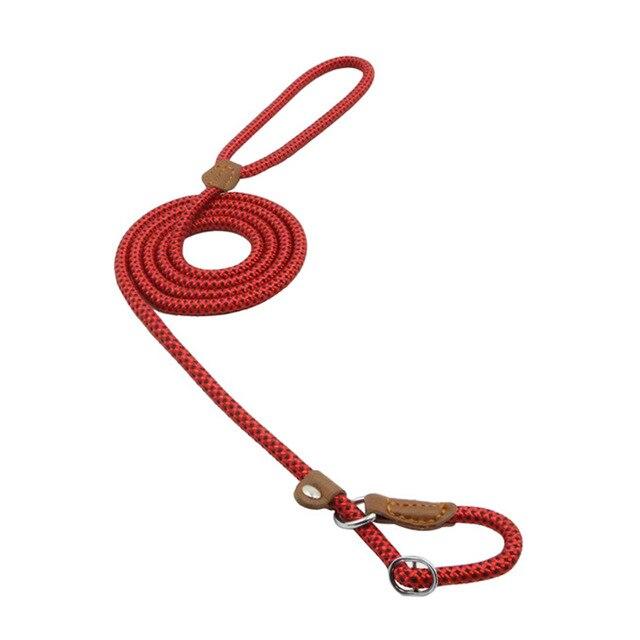 Nylon Puppy Collar and Leash